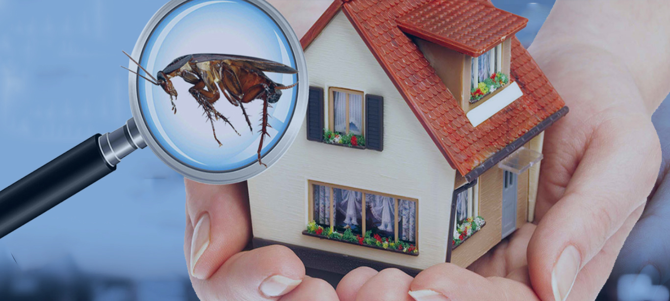 Pest control companies in Bahrain